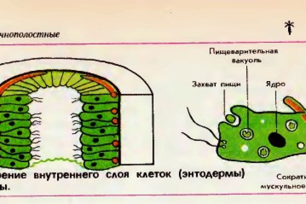 Как восстановить аккаунт в кракен